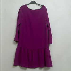 J. Crew Factory Rich Purple Long Sleeve Dress